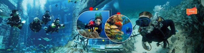 Safe and Exciting Diving Activity in Dubai