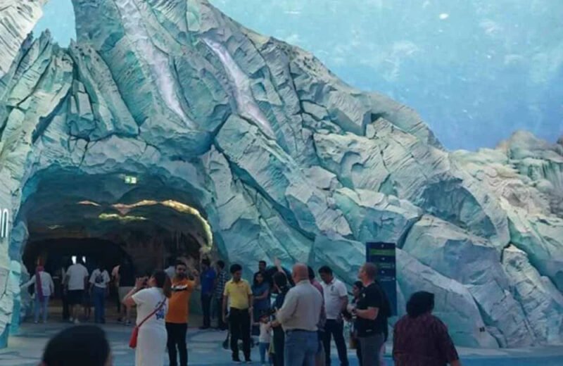 Plan Your Visit with Seaworld Abu Dhabi Tickets