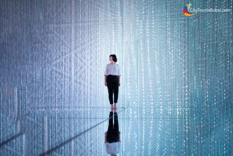 Family Experiences at Teamlab Phenomena Abu Dhabi